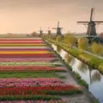 Holandia Czy Niderlandy?