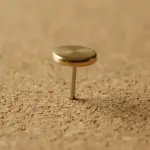 Pinezka Czy Pineska?