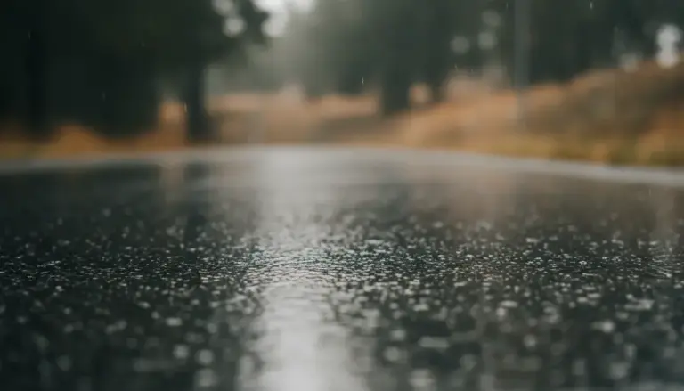 Ślizgo Czy Ślisko?